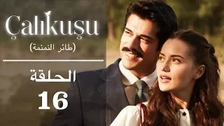 طائر النمنمة الحلقة 16 مترجمة للعربية 