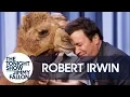 Robert Irwin s Baby Camel Kisses Jimmy on the Lips