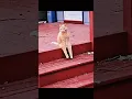 Download Lagu 🐱 When you forget if you're a cat or a human?!