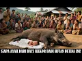 Download Lagu JATIM MERINDING!! BABI HUTAN BETINA INI TIBA-TIBA MELAHIRKAN BAYI MANUSIA! SEMUA WARGA SYOK!!