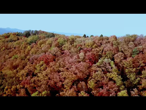 ドローン撮影、動画、静止画どちらも承ります。