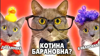 ЕСЛИ БЫ КОТИКИ ХОДИЛИ В ШКОЛУ - ЛУЧШИЕ НОВЫЕ СЕРИИ