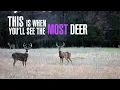 The Best Predictor of Deer Movement