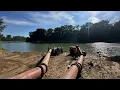 Download Lagu A Tisza folyó elfordult a holtágaktól,  a Szajoli Holt-Tisza példája mindent elmond😓