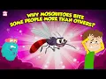 Download Lagu Why Mosquitoes Bite Some People More Than Others? | Mosquito Facts | The Dr. Binocs Show