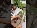 Botanical art