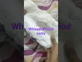 Download Lagu #Whisper #period panty #heavyflow