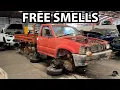 Australian Junkyard Adventure