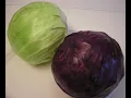 Purple aka Red vs Green Cabbage Characteristics and Uses A Comparison