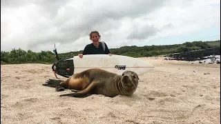 Is There Really Anything You Can Do FOR FREE When Sailing In The Galapagos? ~ Vlog #47