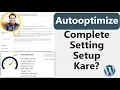 Autooptimize Plugin Setup in WordPress Website Complete Settings Guide
