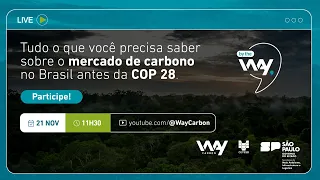 Tudo o que você precisa saber sobre o mercado de carbono no Brasil antes da COP 28