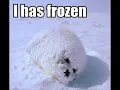 Southern Freeze   Freeez