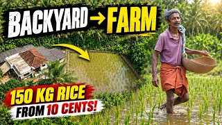 He Turned His Backyard Into a Rice Farm |