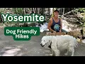 Our Favorite Yosemite Dog-Friendly Hikes