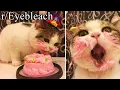 THIS CAKE SO GOOD