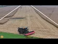 Endlosschleife… LU BLUNK bei der 1300ha Körnermais Ernte Massey Ferguson IDEAL 9T Mais Dreschen