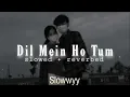 Dil Mein Ho Tum (slowed & reverbed) - Armaan Malik | Slowwyy 🤍✨