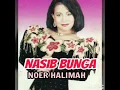 Nasib Bunga - NOER HALIMAH ( lagu dangdut jadul )