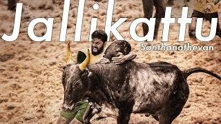 jallikattu santhanathevan official lyric video yuvan shankar raja ameer arya vairamuthu