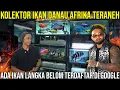 Download Lagu KOLEKTOR IKAN DANAU AFRIKA TERANEH ADA IKAN LANGKA BELOM TERDAFTAR DI GOOGLE#Audreykingofthejungle