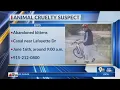 Kittens dumped near canal EPPD search for suspect