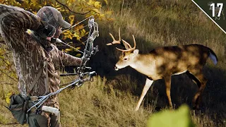 Bowhunting October Mornings!!! (Public Land Buck Frenzy!)