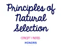 Unit 6 Evolution HONORS Concept 1 Notes UPDATED