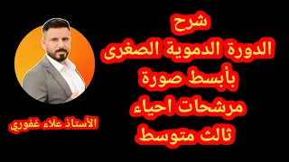 شرح الدورة الدموية الصغرى بأبسط صورة احياء ثالث متوسط  شرح الدورة الدموية الصغرى بأبسط صورة احياء ثالث متوسط