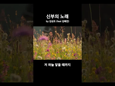 [Shorts] 신부의 노래(feat. 김혜연) by 김성조