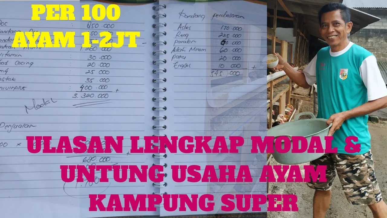 MEMELIHARA AYAM KAMPUNG DI LAHAN YANG SEMPIT PANEN PER BULAN