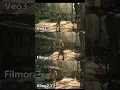 Download Lagu AI image to video test with Kling , Filmora，vs Google's new Veo 3. #shorts  #kling #veo #veo3