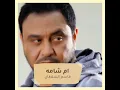 ام شامه
