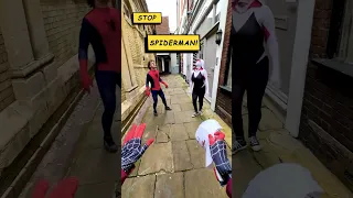 The Spider Verse Is Real 