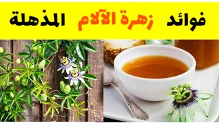 اشرب شاي عشبة زهرة الآلام يوميا قبل النوم للتخلص من الاكتئاب والتوتر والقلق وتشنج العضلات 