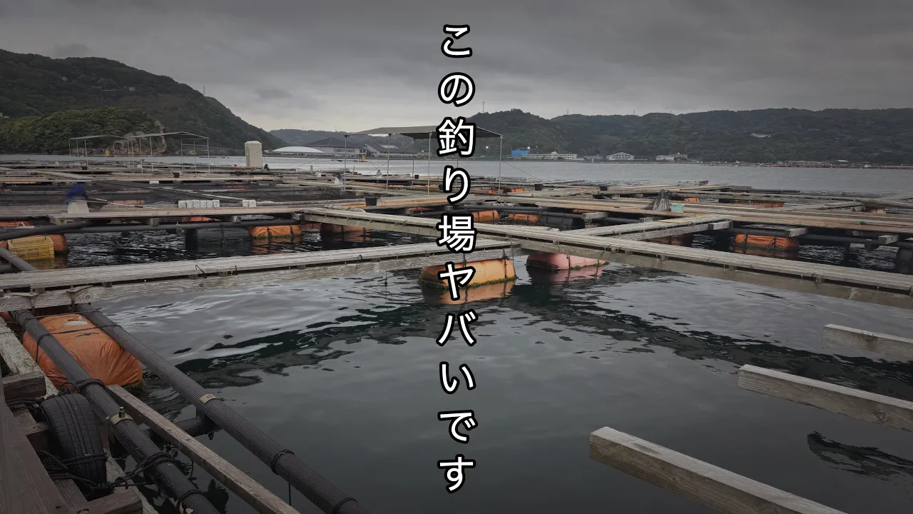 いつも行ってる釣り場がヤバい所でした。