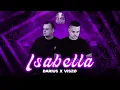 Download Lagu DARIUS X VISZØ - ISABELLA 