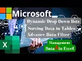 Data Management in Microsoftexcel Data validation Dynamic Drop Down Sorting Data Advanced Filter