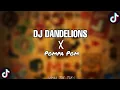 DJ DANDELIONS X POMPA POM YANG VIRAL DI TIK TOK