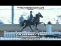 JOSES DESPERATE MAN 2024 AMATEUR AND YOUTH JAMBOREE