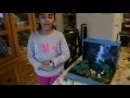 Shoe box project Amazon rainforest biome PS 30
