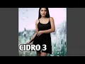 CiDRO 3