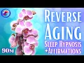 Download Lagu Anti Aging Deep Sleep Hypnosis + Affirmations (90-min)