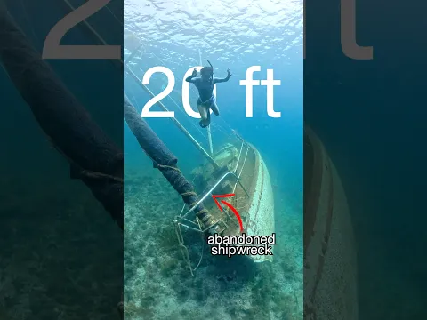 would you dive thru this eerie shipwreck? 🫪