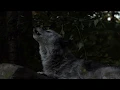 Download Lagu Fifty Wolves Howl to the Night