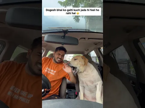 Dogesh bhai ka accident ho gaya 🥺 | SourShy | #dog #shorts