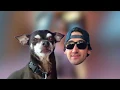 emBARK TV - Lost Dog Cafe