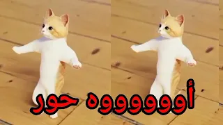 اغنية باسم حور الحلوة سطلانة السعودية الكويت الامارات قطر عمان البحرين تركيا دبي ابوظبي جده 