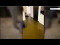 Manalapan family living in nightmare situation due to constant flooding of their home