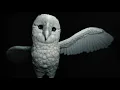 Deftones –  Risk (Official Visualizer)